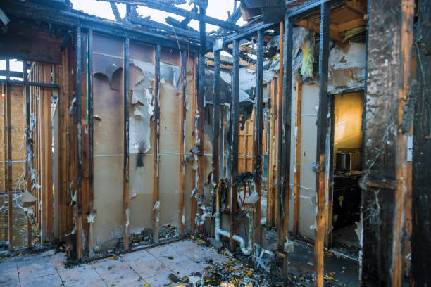 Professional Soot Cleanup technician working in Charleston, IL